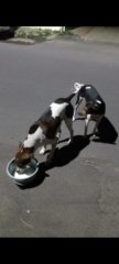 IMG-20241222-WA0321