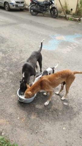 WhatsApp Image 2024-12-23 at 00.35.03_c18a696b