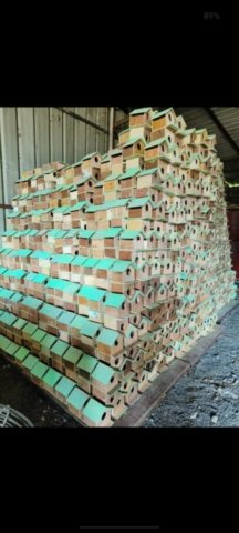 WhatsApp Image 2024-12-23 at 12.15.16_cc5a3274