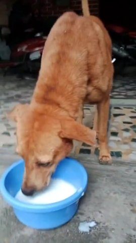 WhatsApp Image 2024-12-23 at 12.58.29_3e5447eb