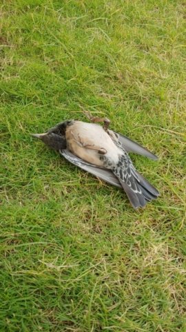 WhatsApp Image 2024-12-23 at 13.03.47_84ebe036