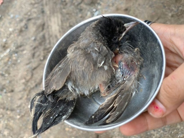 WhatsApp Image 2024-12-23 at 13.03.49_70344126