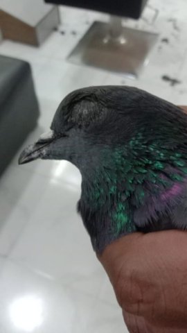 WhatsApp Image 2024-12-23 at 22.52.23_a6d158c0