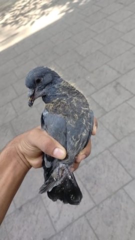 WhatsApp Image 2024-12-23 at 22.52.40_fe2cc986