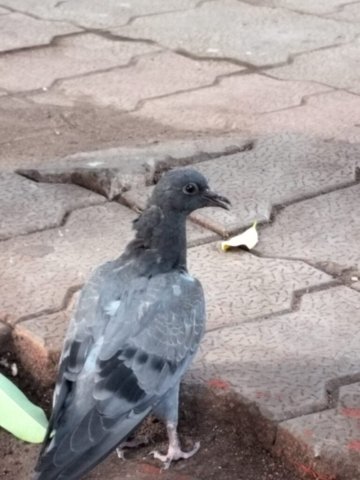 WhatsApp Image 2024-12-23 at 22.53.02_a689ca25