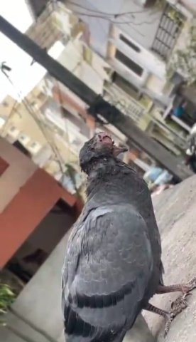 WhatsApp Image 2024-12-23 at 22.54.33_f35f857f