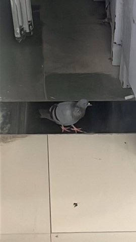 WhatsApp Image 2024-12-23 at 22.56.39_7d4a8671