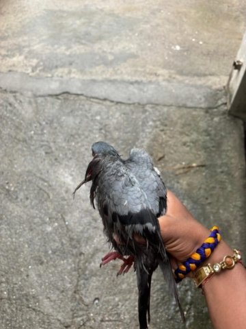 WhatsApp Image 2024-12-24 at 00.49.21_10a52a29