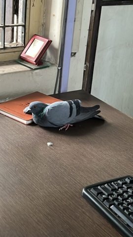 WhatsApp Image 2024-12-24 at 00.49.23_a5ce5ddd