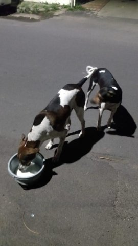 WhatsApp Image 2024-12-24 at 11.21.24_2a6e12a1