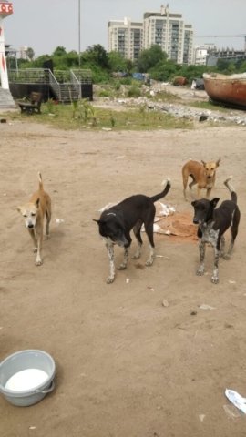 WhatsApp Image 2024-12-24 at 11.23.39_432c13f1