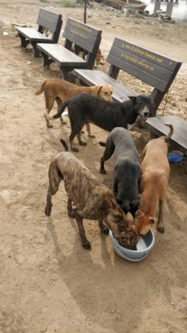 WhatsApp Image 2024-12-24 at 11.37.04_b3f67dbd