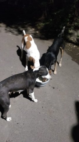 WhatsApp Image 2024-12-24 at 11.37.11_6999af96