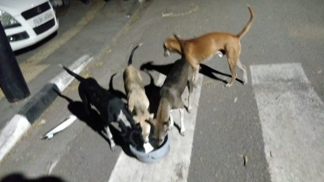 WhatsApp Image 2024-12-24 at 11.37.13_2aae3491