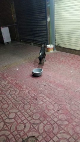 WhatsApp Image 2024-12-24 at 11.37.16_22f8f9b5