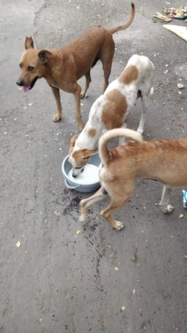 WhatsApp Image 2024-12-24 at 11.37.17_55dbafdf