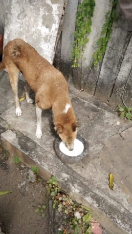 WhatsApp Image 2024-12-24 at 11.37.20_f1ec79c7