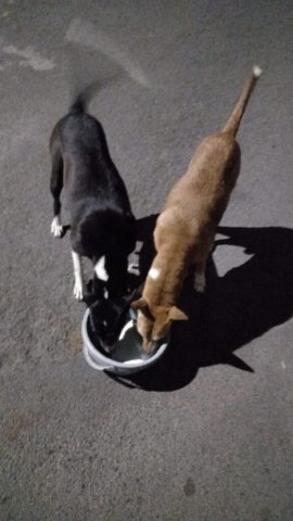 WhatsApp Image 2024-12-24 at 11.37.25_0d0891f0