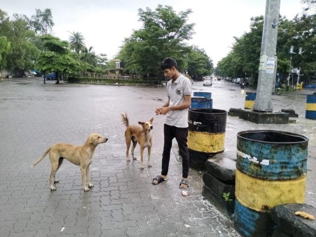 WhatsApp Image 2024-12-24 at 11.42.52_49a33148