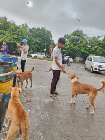 WhatsApp Image 2024-12-24 at 11.42.52_c436d56b