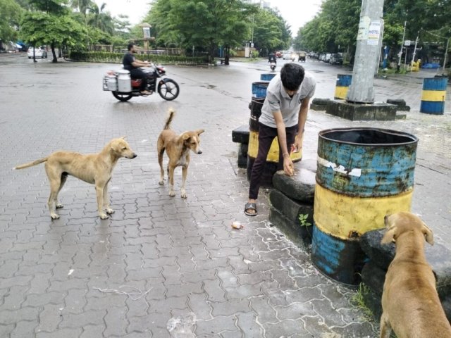 WhatsApp Image 2024-12-24 at 11.42.53_257c3867