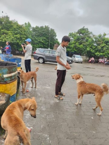 WhatsApp Image 2024-12-24 at 11.42.53_5cca7d1d