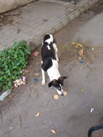 WhatsApp Image 2024-12-24 at 11.42.54_28e165af