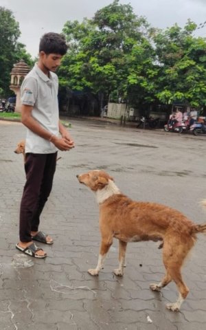 WhatsApp Image 2024-12-24 at 11.42.55_873531f7