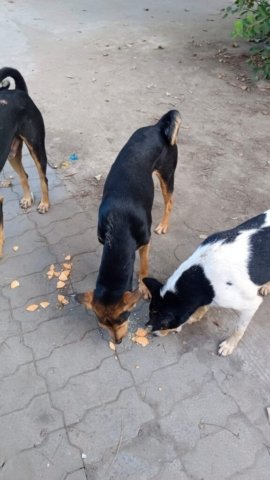 WhatsApp Image 2024-12-24 at 11.42.57_a50ffb5c