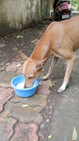 WhatsApp Image 2024-12-24 at 11.50.42_fb9d1e7f