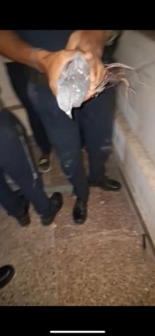 WhatsApp Image 2025-02-08 at 04.04.14_1bdf02db