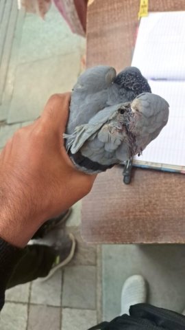 WhatsApp Image 2025-02-08 at 04.04.16_ee514316